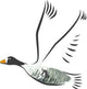 Wexford Wildfowl Reserve